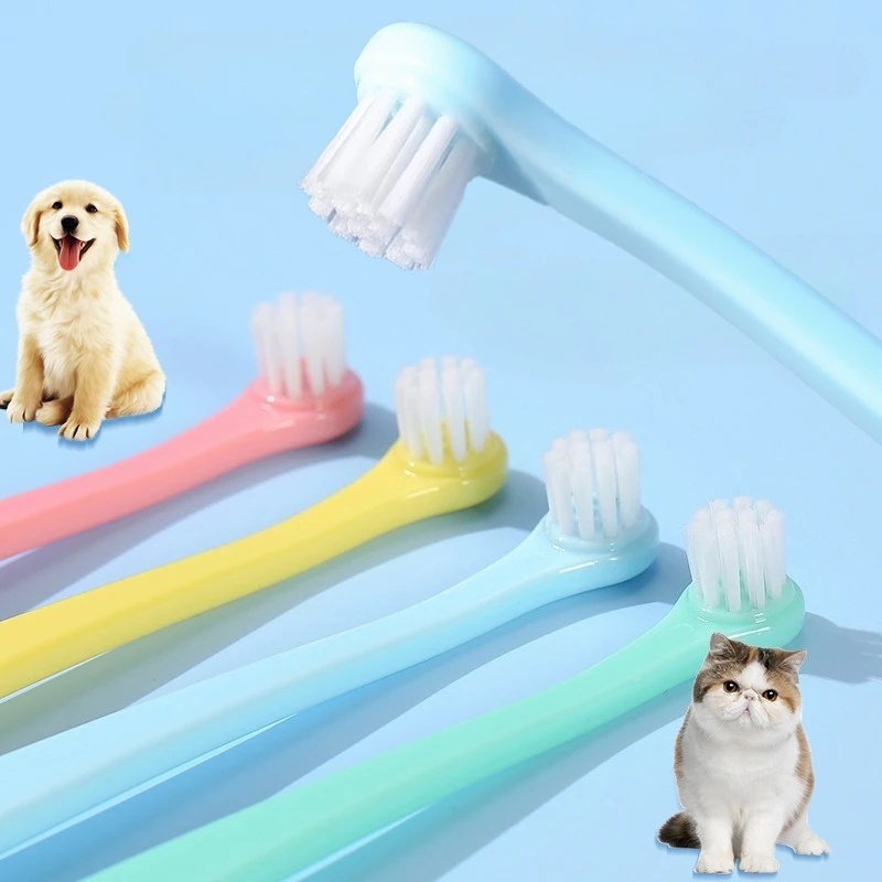 Hundezahnbürste mit Kleinem Bü – Teeth Whitening Brush Bewertung und Preis
