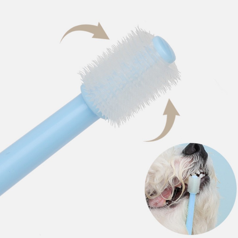 Haustier-Zahnbürste, Hundezahn – Teeth Whitening Brush Bewertung und Preis